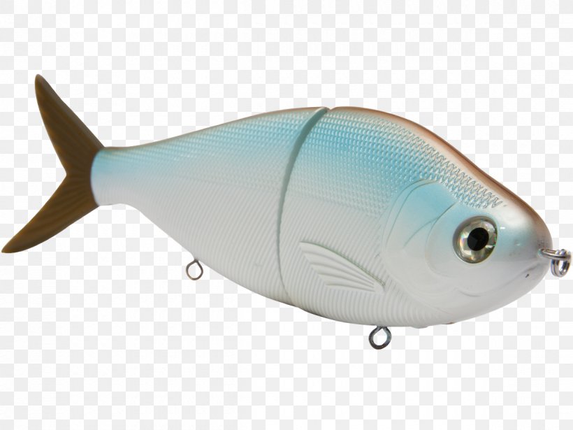 Milkfish Marine Biology Marine Mammal Tow Hitch, PNG, 1200x900px, Milkfish, Ac Power Plugs And Sockets, Bait, Biology, Bony Fish Download Free