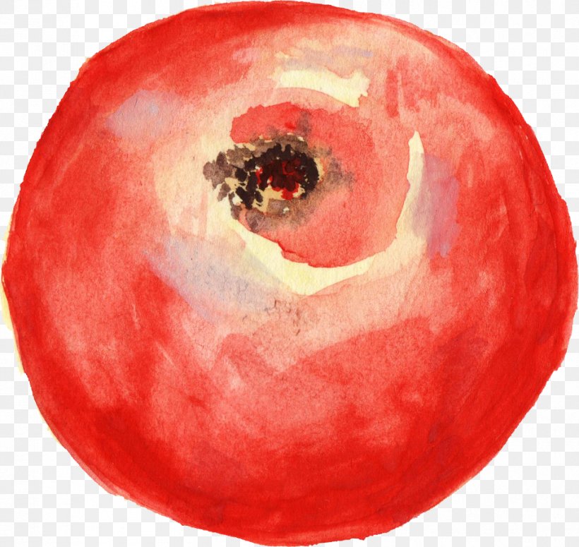 Tomato Watercolor Painting Clip Art, PNG, 952x900px, Tomato, Apple, Food, Fruit, Painting Download Free