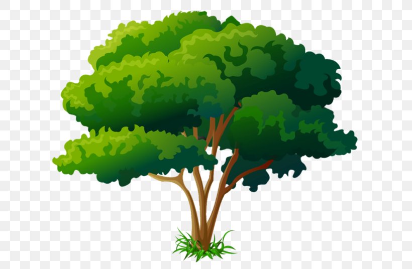 Tree Clip Art, PNG, 650x536px, Tree, Branch, Drawing, Grass, Leaf Download Free