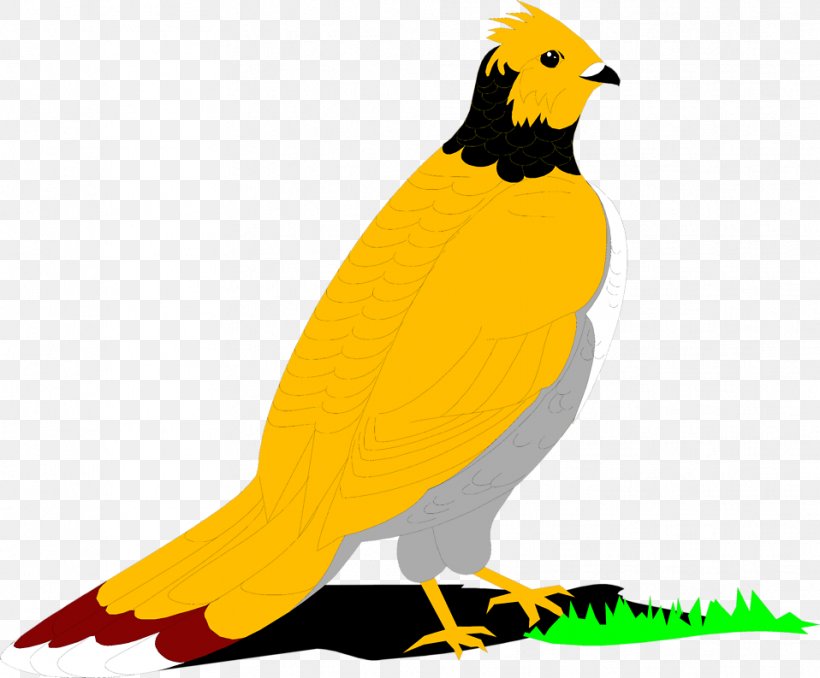 Bird Ruffed Grouse English Setter Clip Art, PNG, 958x793px, Bird, Beak, Bird Of Prey, English Setter, Eurasian Golden Oriole Download Free