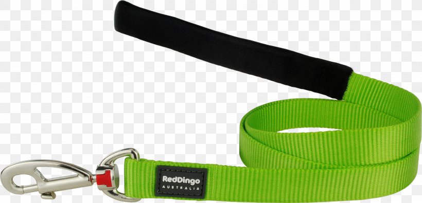 Leash Dog Collar Cat Dingo, PNG, 3000x1447px, Leash, Cat, Collar, Dingo, Dog Download Free