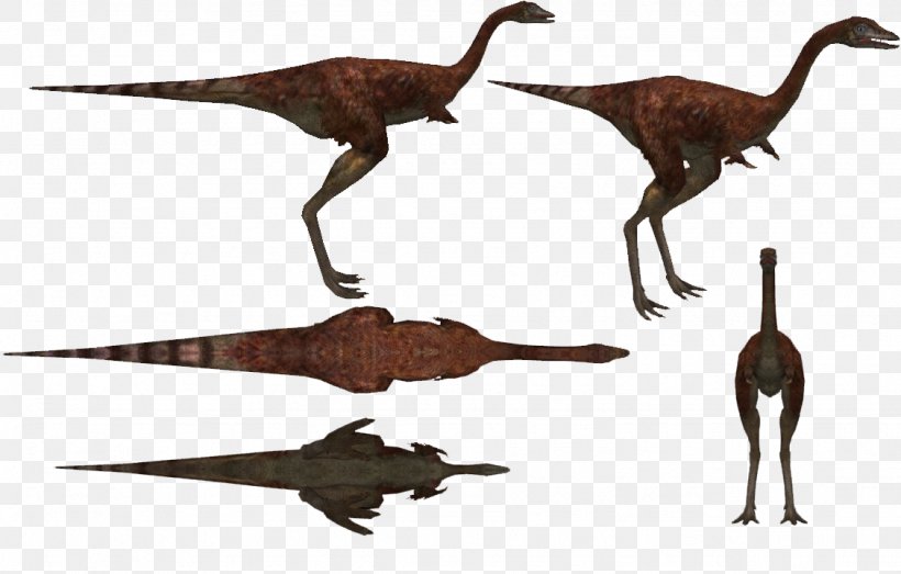 Velociraptor Animal, PNG, 1127x719px, Velociraptor, Animal, Animal Figure, Beak, Dinosaur Download Free