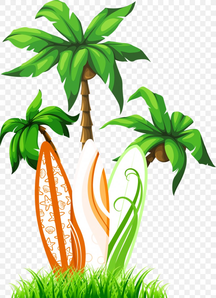 Arecaceae Tree Clip Art, PNG, 928x1280px, Arecaceae, Aquarium Decor, Cartoon, Coconut, Drawing Download Free