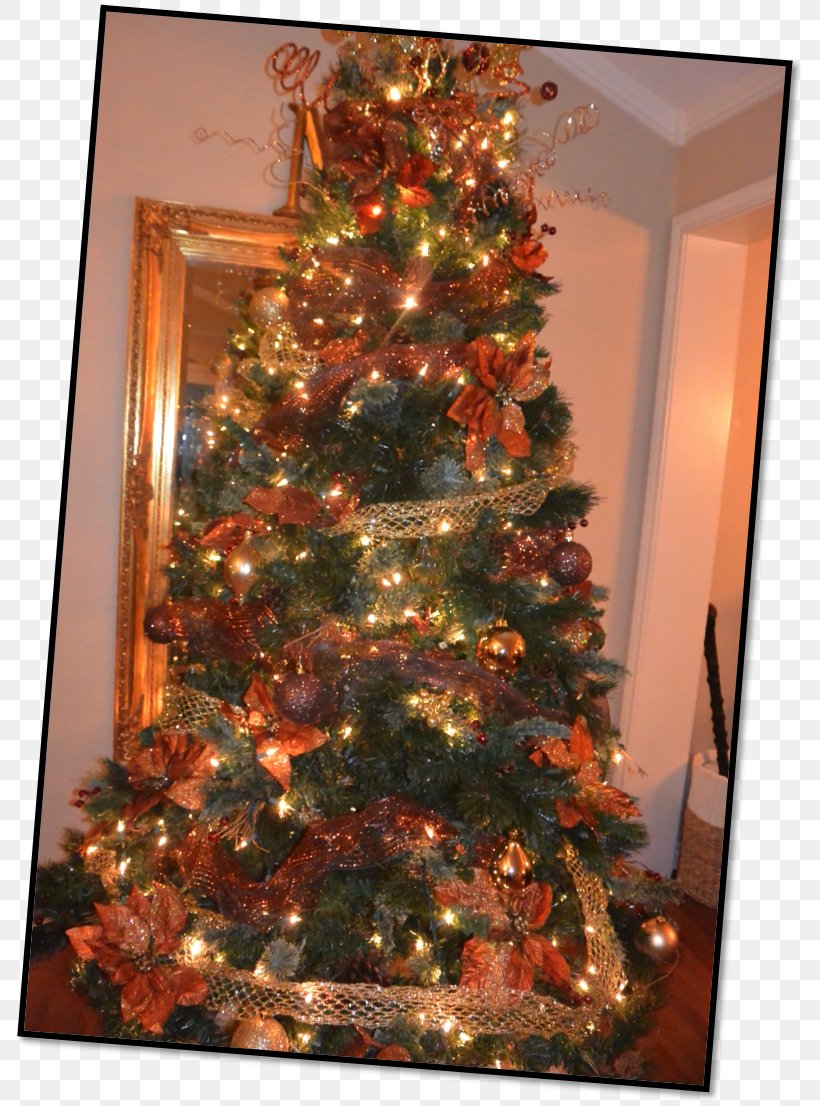 Christmas Tree Christmas Ornament Christmas Decoration, PNG, 793x1106px, Christmas Tree, Christmas, Christmas Decoration, Christmas Ornament, Conifer Download Free