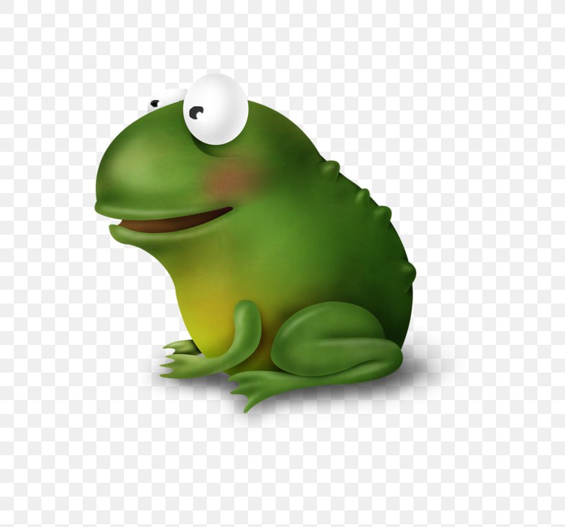 True Frog Tree Frog Amphibians Vertebrate, PNG, 800x764px, True Frog, Amphibian, Amphibians, Animal, Animated Cartoon Download Free