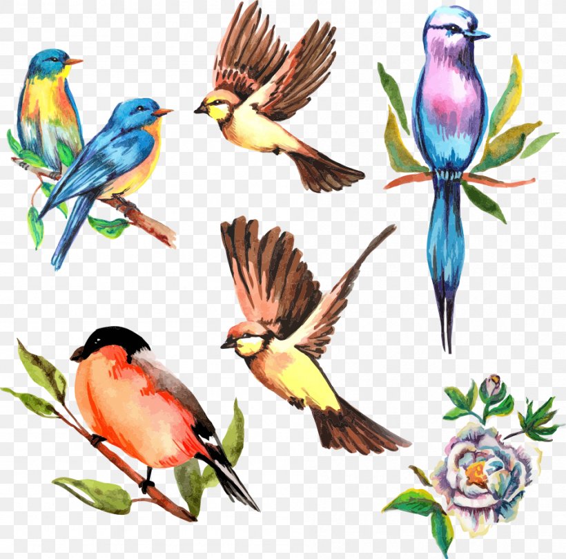 Vector Watercolor Flower Bird, PNG, 948x936px, Bird, Art, Beak, Branch, Cartoon Download Free