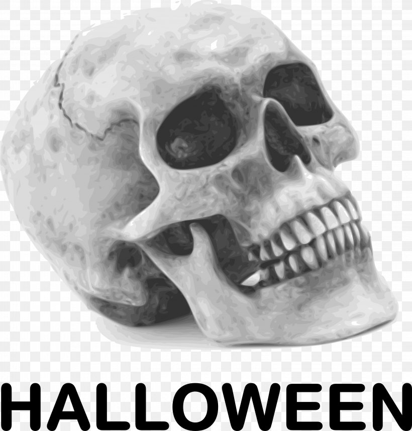 Calavera Skull Halloween Human Skeleton Clip Art, PNG, 3057x3200px, Calavera, Black And White, Bone, Halloween, Halloween Film Series Download Free
