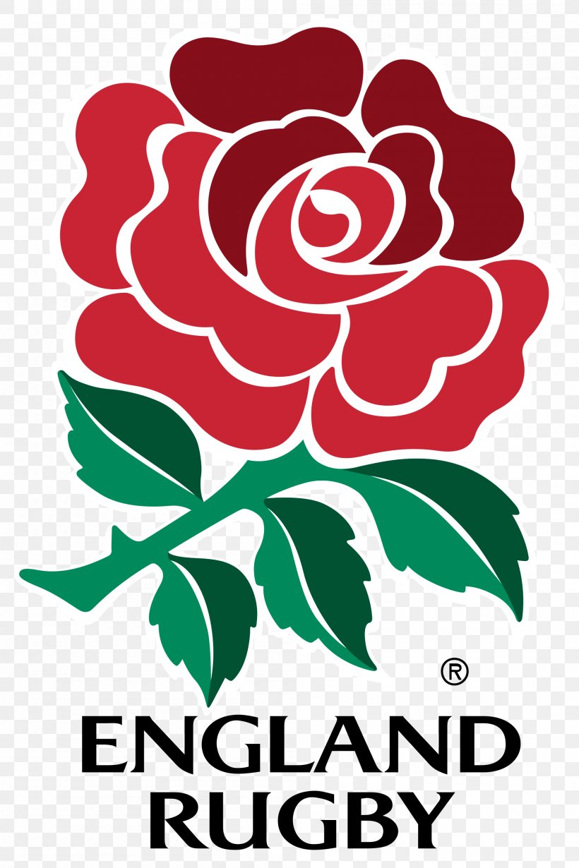 England National Rugby Union Team Six Nations Championship Irish Rugby, PNG, 2000x3000px, England National Rugby Union Team, Area, Artwork, Cut Flowers, England Download Free