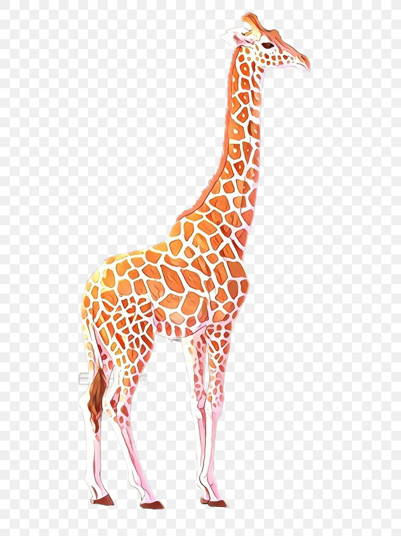 Giraffe Giraffidae Terrestrial Animal Wildlife Animal Figure, PNG, 730x1095px, Cartoon, Adaptation, Animal Figure, Fawn, Giraffe Download Free