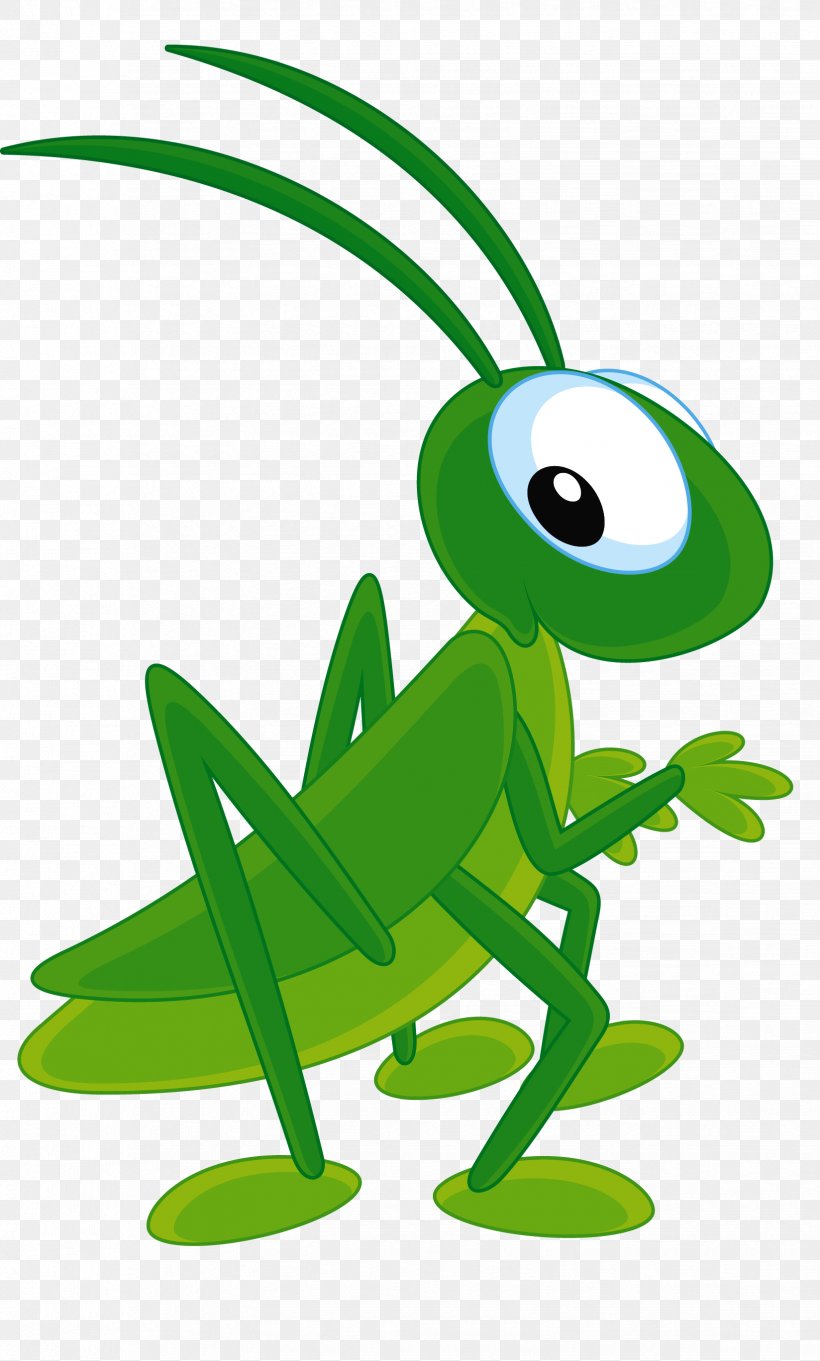 Insect Cartoon Bee Clip Art, PNG, 1648x2736px, Insect, Amphibian, Animation, Bee, Cartoon Download Free