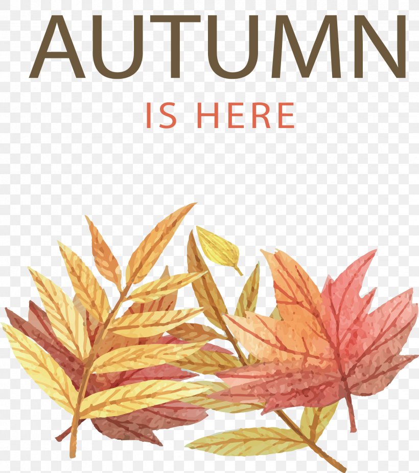 Autumn Leaf Color Illustration, PNG, 2444x2756px, Autumn, Autumn Leaf Color, Child, Color, Commodity Download Free