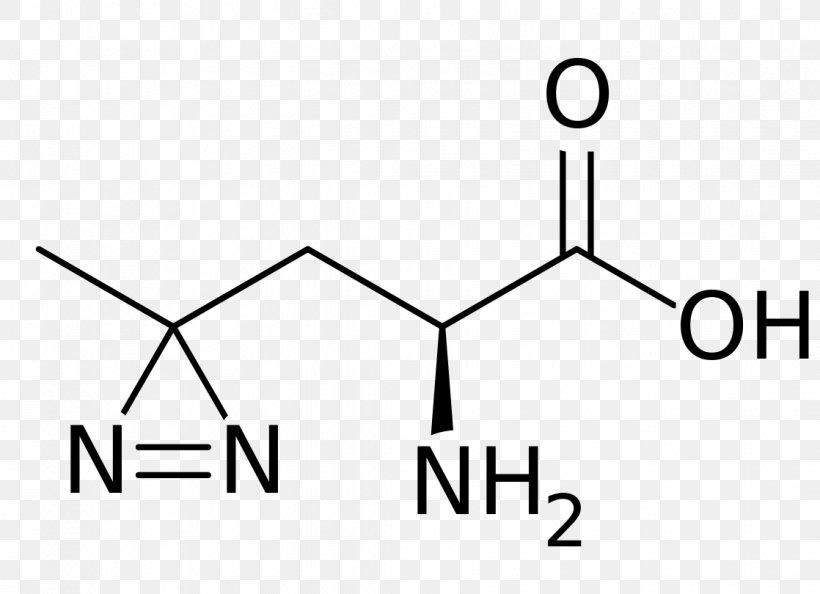 Amino Acid Histidine Alanine Lysine Methyl Group, PNG, 1118x810px, Amino Acid, Acid, Alanine, Area, Aspartic Acid Download Free