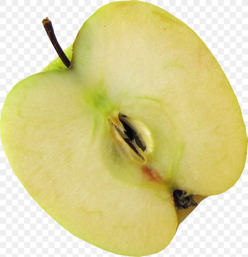 Apple Granny Smith Download Resource, PNG, 1623x1683px, Apple, Apple Photos, Food, Fruit, Granny Smith Download Free