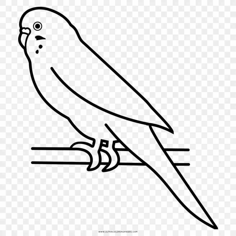 Budgerigar Parrot Bird Parakeet Pet, PNG, 1000x1000px, Budgerigar, Area, Art, Artwork, Beak Download Free