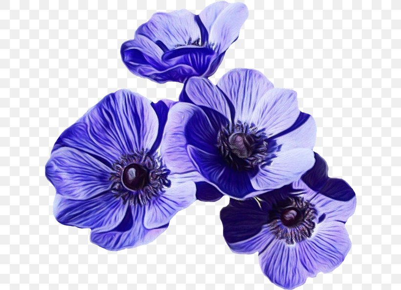 Purple Flower Wreath, PNG, 640x593px, Flower, Anemone, Artificial Flower, Blue, Cut Flowers Download Free