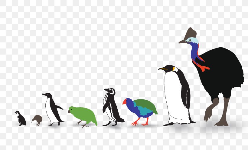Beak Flightless Bird Flightless Cormorant Goose, PNG, 820x495px, Beak, Anatidae, Bird, Copyright, Cormorant Download Free