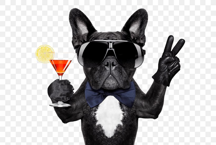 French Bulldog Cocktail Mexican Martini, PNG, 688x550px, Bulldog, Alcoholic Drink, Bellini, Carnivoran, Champagne Glass Download Free