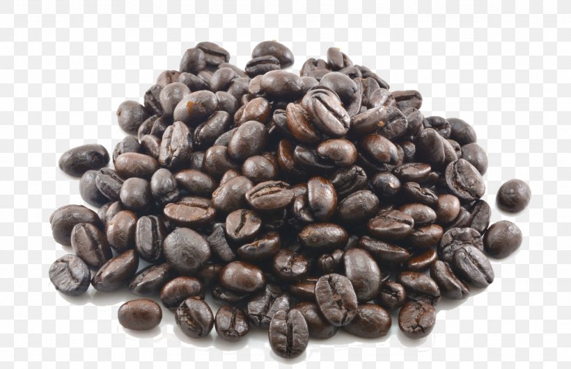 Jamaican Blue Mountain Coffee Caffxe8 Americano Cocoa Bean Cafe, PNG, 1024x664px, Coffee, Bean, Cafe, Caffeine, Caffxe8 Americano Download Free