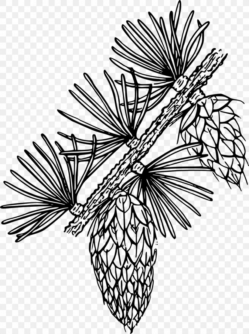 Line Art Clip Art, PNG, 955x1280px, Line Art, Art, Artwork, Black And White, Branch Download Free