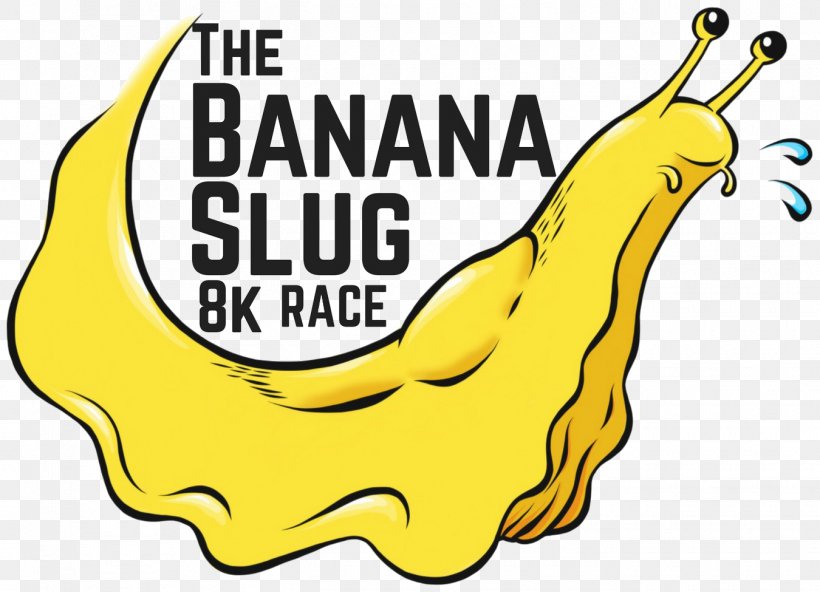 Banana Slug 8k Westwood Lake Clip Art, PNG, 1350x975px, 2017, Banana Slug, Area, Artwork, Banana Download Free