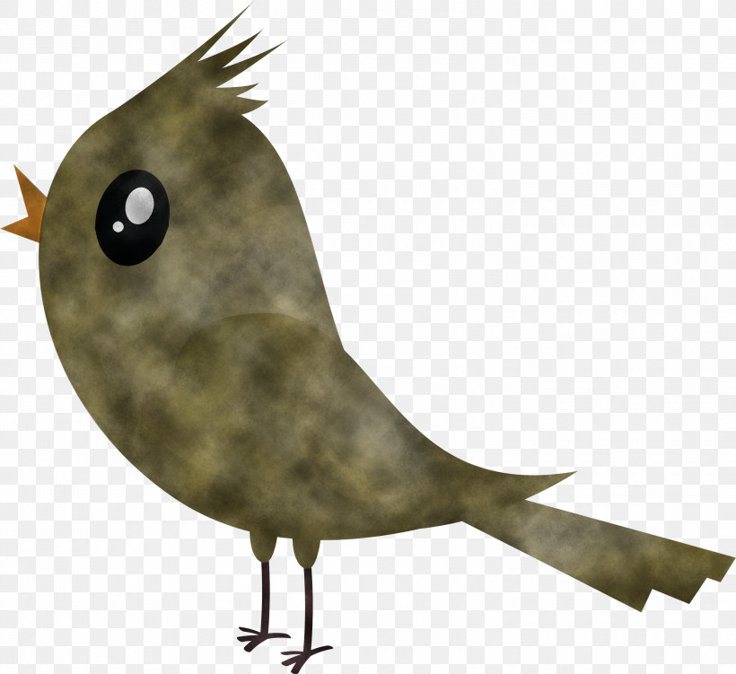 Bird Beak Cartoon Animation Perching Bird, PNG, 3000x2750px, Cartoon Bird, Animation, Beak, Bird, Cartoon Download Free