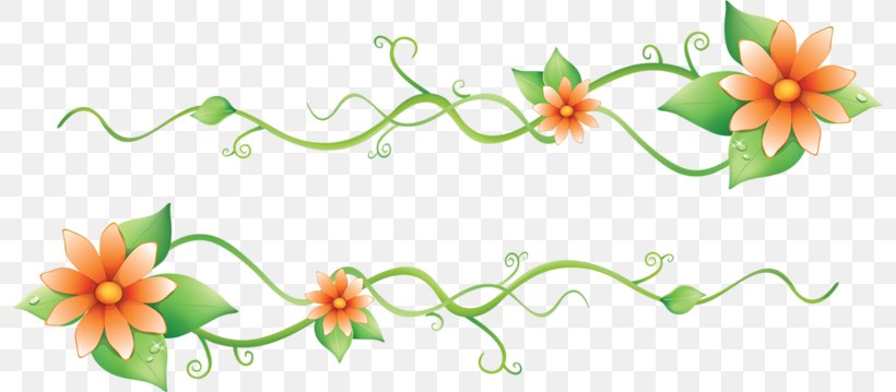 Border Flowers Euclidean Vector, PNG, 800x359px, Border Flowers, Flora, Floral Design, Flower, Flowering Plant Download Free