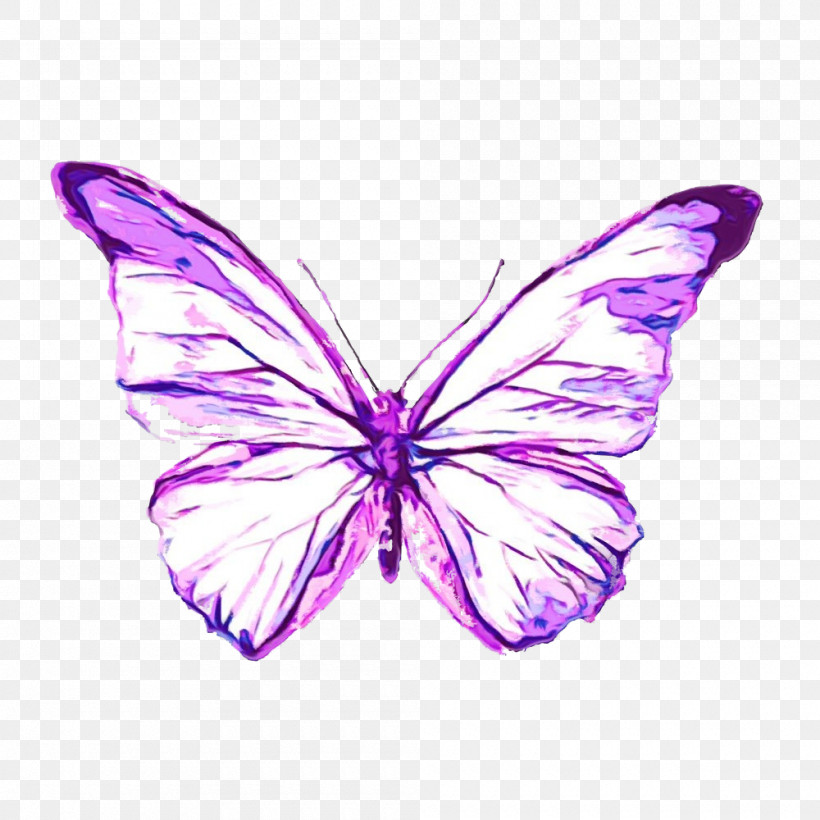 Butterfly Moths And Butterflies Insect Purple Violet, PNG, 1000x1000px, Watercolor, Butterfly, Insect, Moths And Butterflies, Paint Download Free