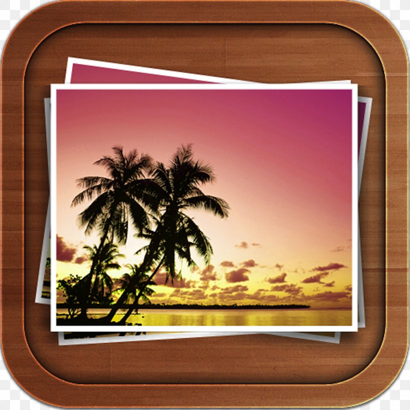 Desktop Wallpaper Sunset Beach Arecaceae Sunrise, PNG, 1024x1024px, Sunset, Arecaceae, Beach, Computer, Multimedia Download Free