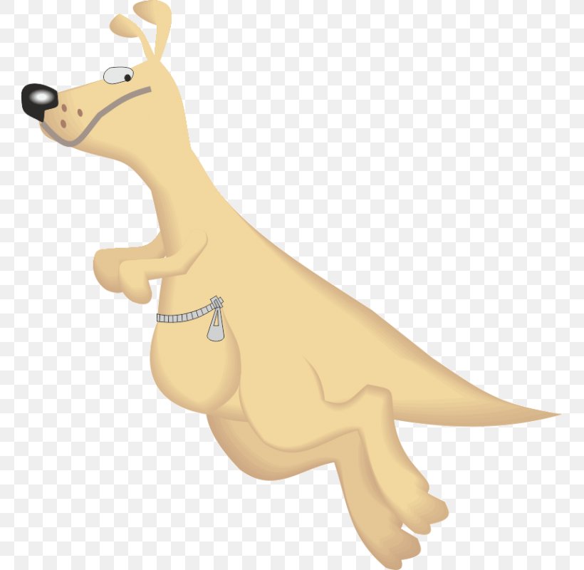 Dingo Kangaroo Animation Clip Art, PNG, 800x800px, Dingo, Animal, Animal Figure, Animation, Boxing Kangaroo Download Free