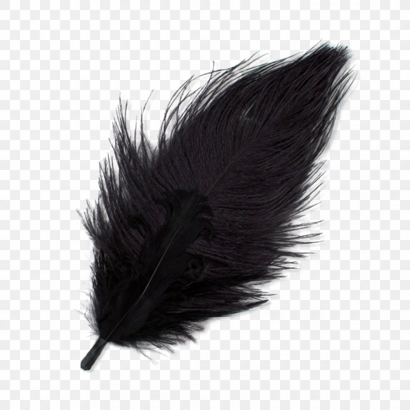 Feather Goose Bird, PNG, 1120x1120px, Feather, Bird, Black, Black Hat, Goorin Bros Download Free