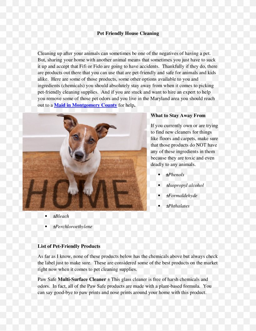 Jack Russell Terrier Text Photography Snout Magnettafel, PNG, 1700x2200px, Jack Russell Terrier, Advertising, Banjado, Black, Dawanda Download Free