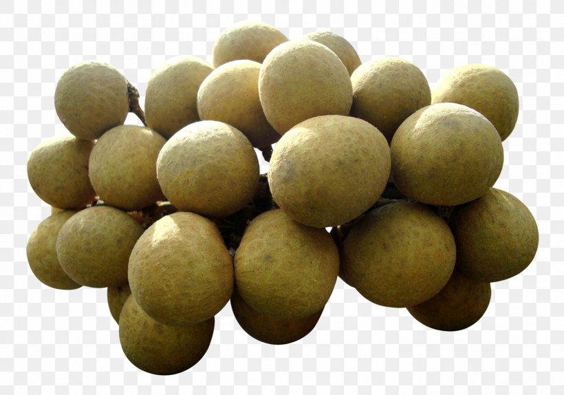 Longan Fruit, PNG, 1361x953px, Longan, Apple, Apple Georgetown, Chennai, Food Download Free