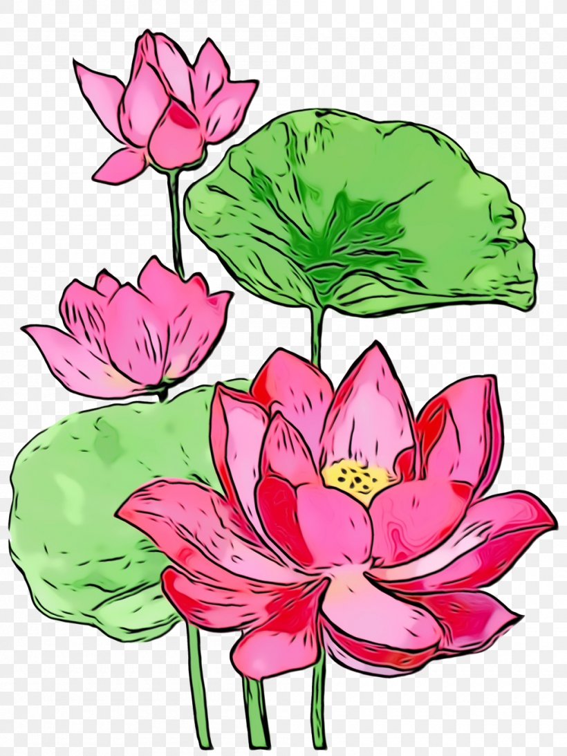 Lotus, PNG, 1000x1334px, Watercolor, Aquatic Plant, Flower, Lotus, Lotus Family Download Free