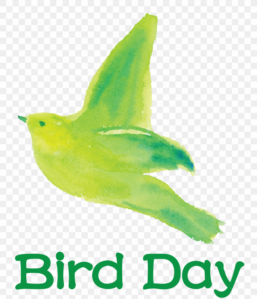 Bird Day Happy Bird Day International Bird Day, PNG, 2580x3000px, Bird Day, Beak, Biology, Birds, Meter Download Free