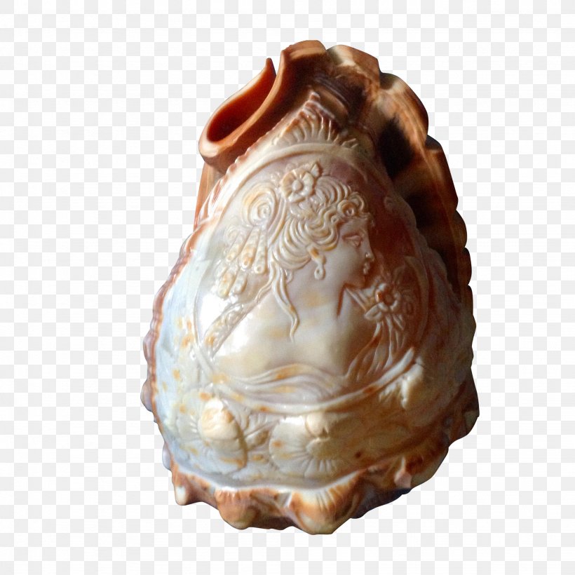 Cameo Conch Shankha Seashell Victorian Era, PNG, 2048x2048px, Cameo, Artifact, Conch, Female, Helmet Download Free
