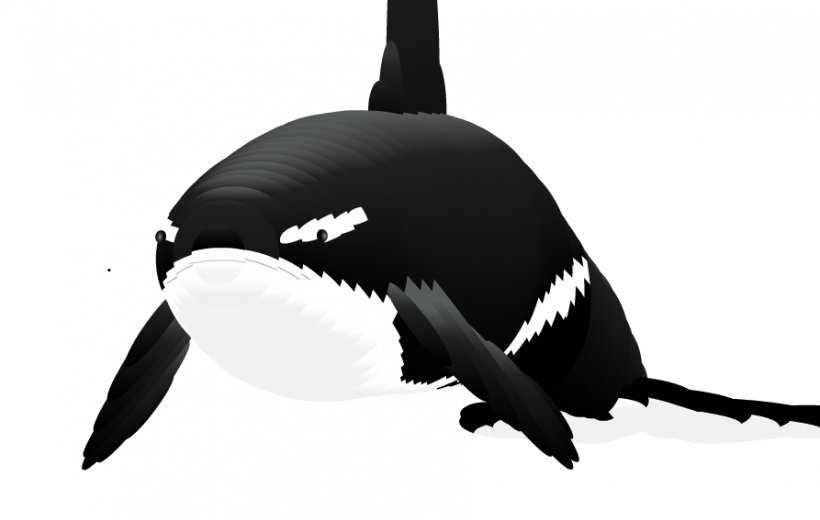 Computer Mouse Toothed Whale Blue Whale Killer Whale, PNG, 893x567px, Computer Mouse, Beak, Beluga Whale, Bird, Black And White Download Free