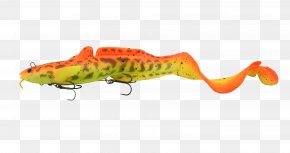 Fishing - Fishing Baits & Lures Northern Pike Burbot PNG