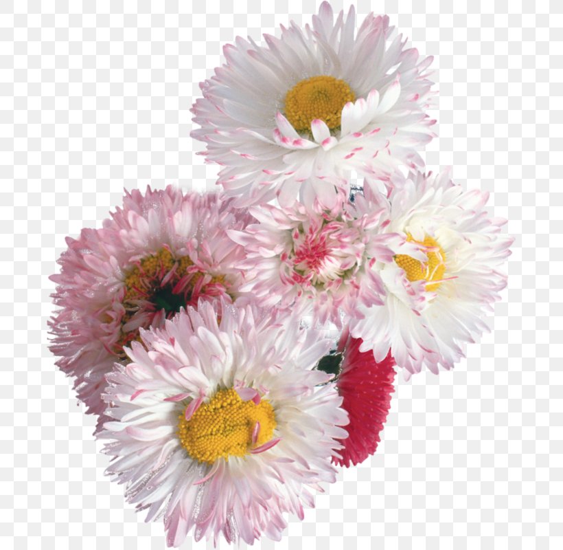 Flower Floral Design Desktop Wallpaper, PNG, 683x800px, Flower, Annual Plant, Artificial Flower, Aster, Chrysanthemum Download Free