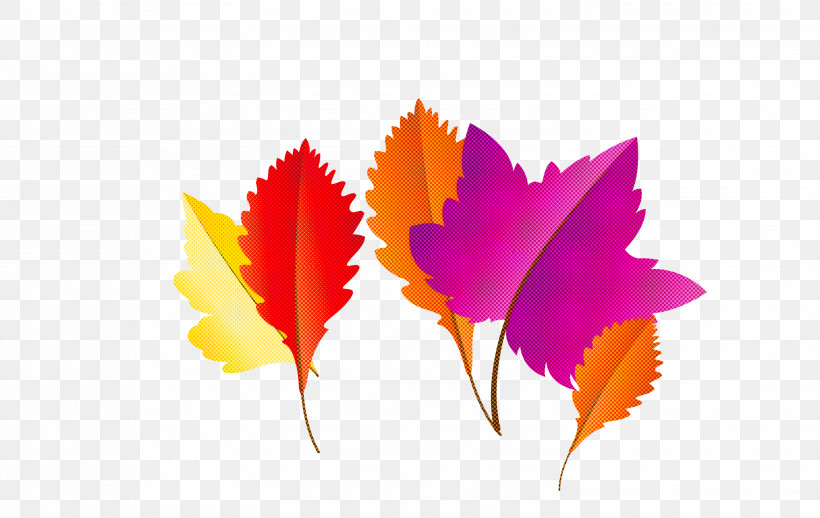 Maple Leaf, PNG, 2999x1897px, Autumn Leaf, Alocasia, Biology, Cartoon Leaf, Chloroplast Download Free