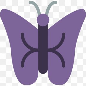 Design - Symmetry PNG