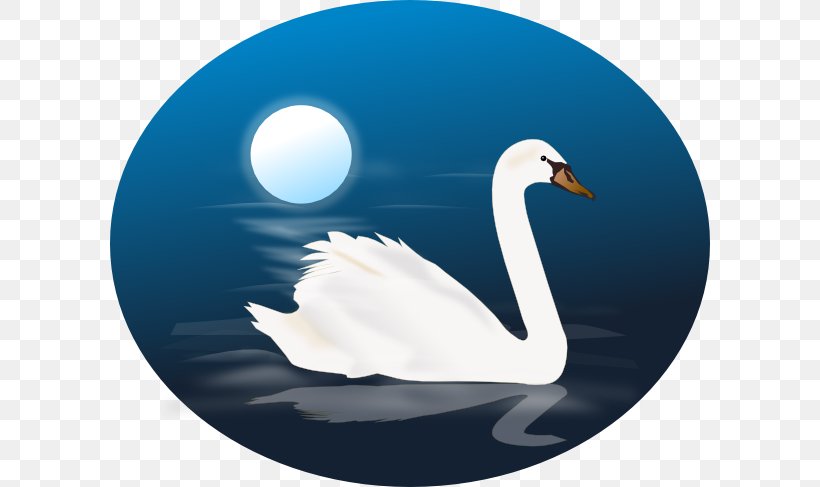 Bird Black Swan Cygnus Clip Art, PNG, 600x487px, Bird, Beak, Black Swan, Black Swan Theory, Child Download Free