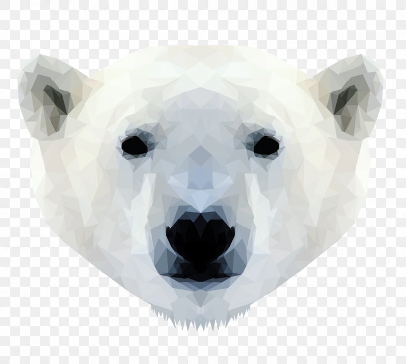 Polar Bear Walrus Cat Tiger, PNG, 1185x1064px, Polar Bear, Animal, Bear, Carnivoran, Cat Download Free