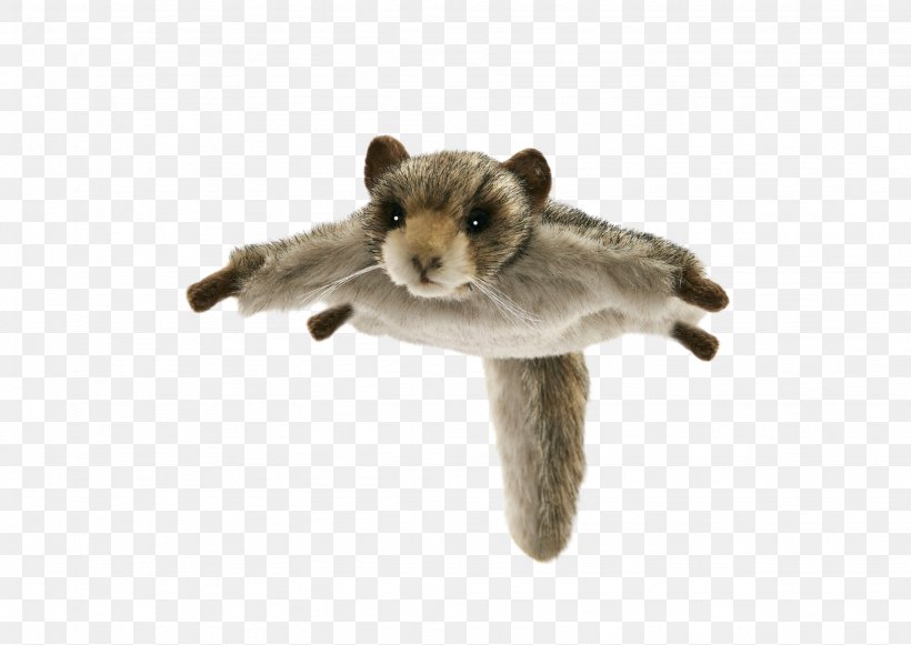 stuffed flying squirrel