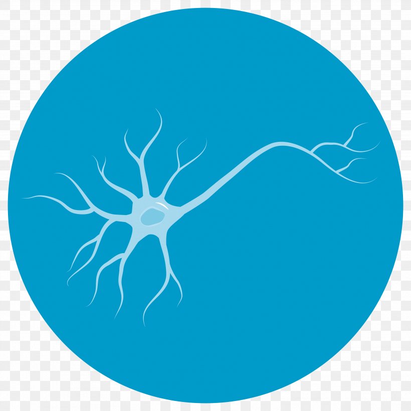 Neuron Disease Health Care Clinic, PNG, 3543x3543px, Neuron, Aqua, Axol Bioscience, Azure, Blue Download Free