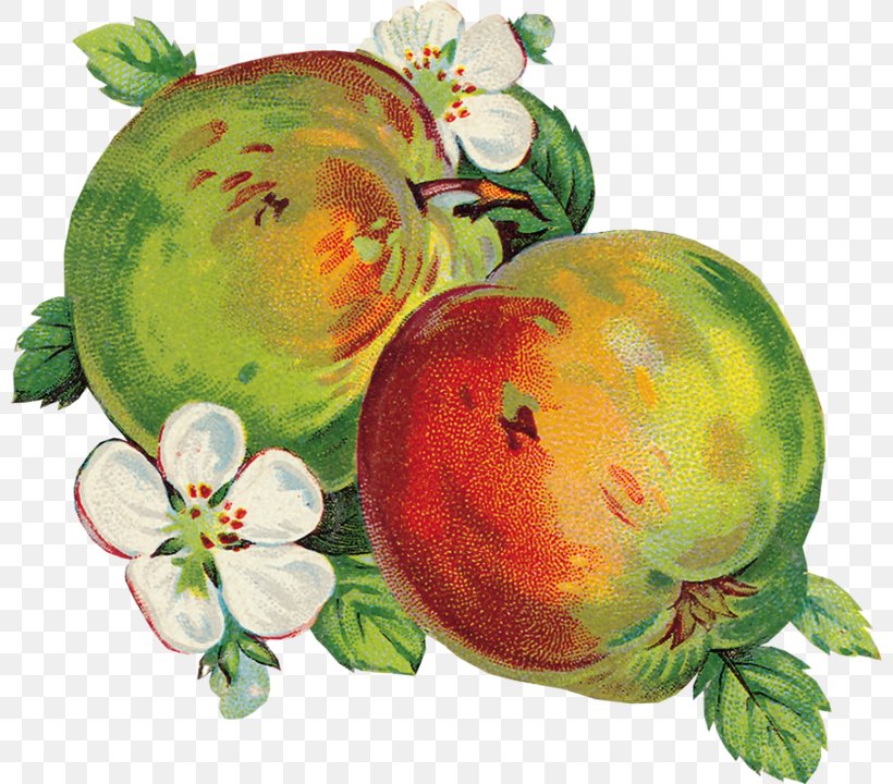 Watermelon Background, PNG, 800x720px, Apple, Citrullus, Decoupage, Food, Fruit Download Free