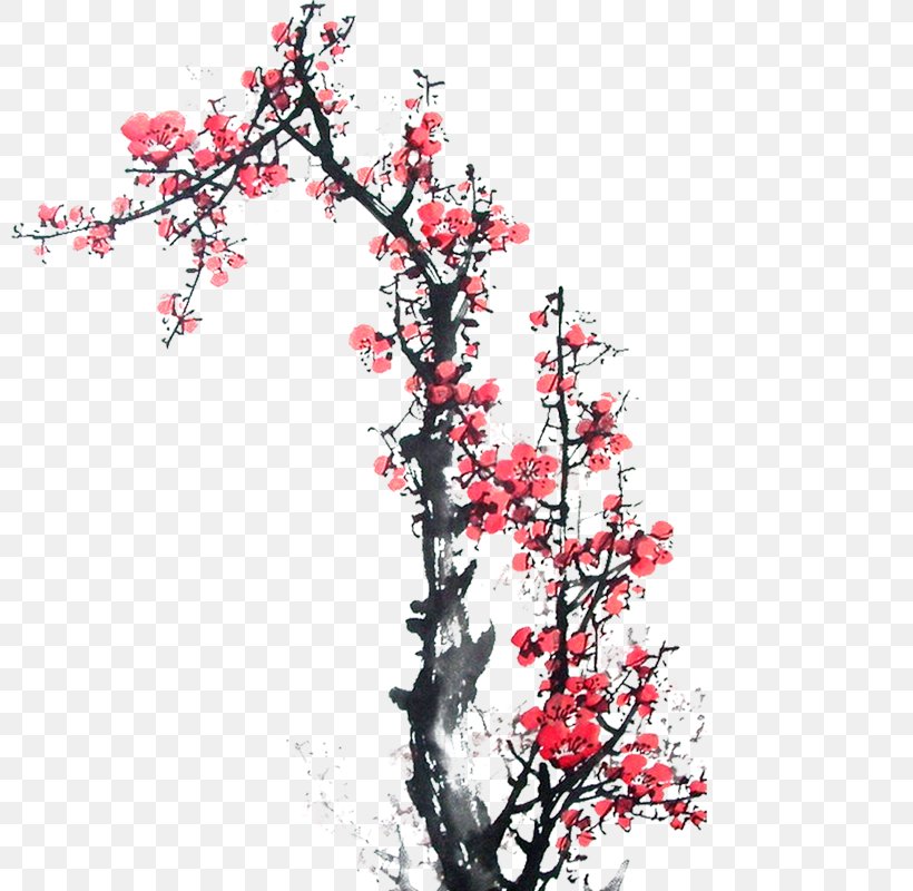 Ink Wash Painting, PNG, 800x800px, Ink Wash Painting, Blossom, Branch, Calligraphy, Cherry Blossom Download Free