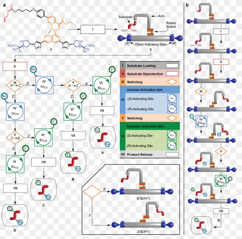 Molecular Machine Chemical Synthesis Enantioselective Synthesis Molecule Chemistry, PNG, 2157x2132px, Watercolor, Cartoon, Flower, Frame, Heart Download Free