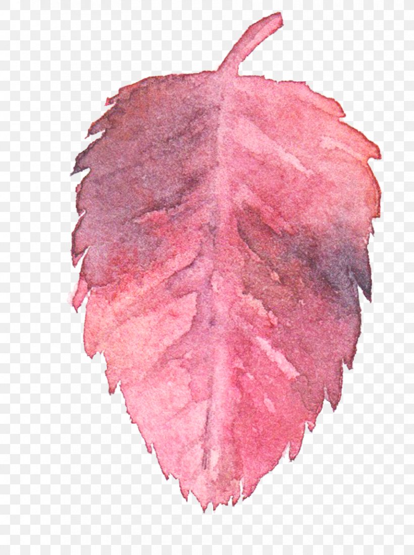 Transparent Watercolor Watercolor: Flowers Watercolor Painting Leaf, PNG, 855x1147px, Transparent Watercolor, Color, Fruit, Heart, Ink Wash Painting Download Free