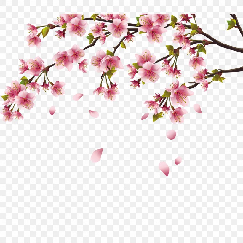 Cherry Blossom Peach Blossom, PNG, 1417x1417px, Cherry Blossom, Blossom, Branch, Floral Design, Floristry Download Free