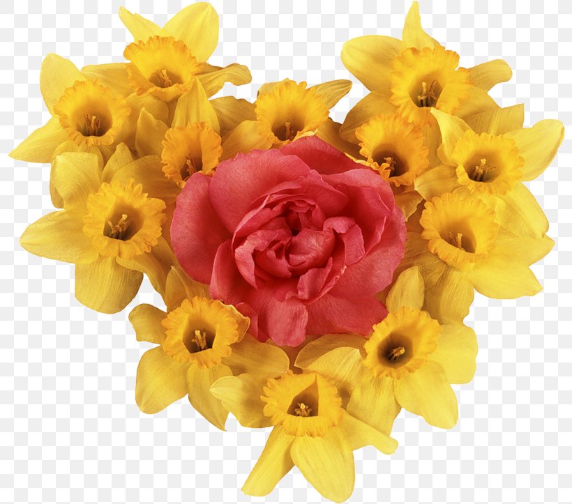 Flower Bouquet Daffodil Garden Roses Clip Art, PNG, 800x723px, Flower, Cut Flowers, Daffodil, Floral Design, Floristry Download Free